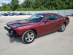 Dodge Challenger salvage cars for sale: 2022 Dodge Challenger SXT