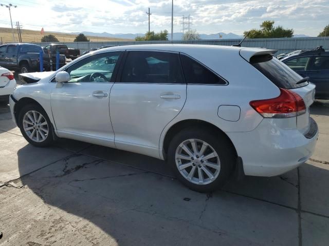 2010 Toyota Venza