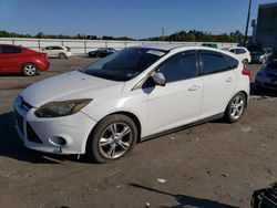 Ford Focus salvage cars for sale: 2013 Ford Focus SE