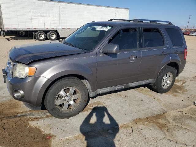 2010 Ford Escape Limited