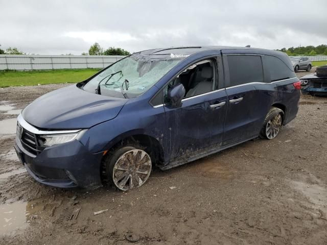 2022 Honda Odyssey EXL