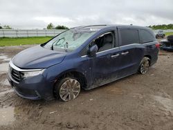 Honda Odyssey exl salvage cars for sale: 2022 Honda Odyssey EXL