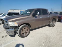 Dodge ram 1500 salvage cars for sale: 2009 Dodge RAM 1500