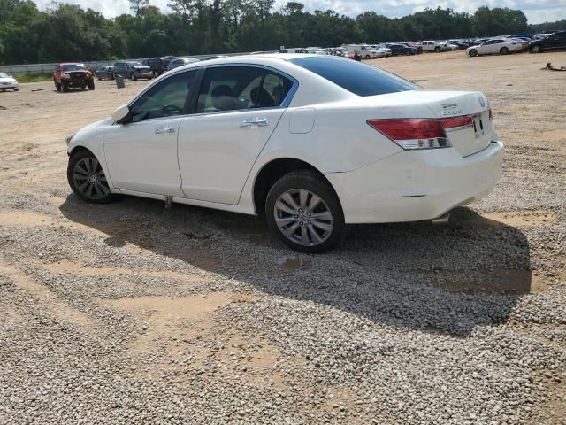 2011 Honda Accord EXL