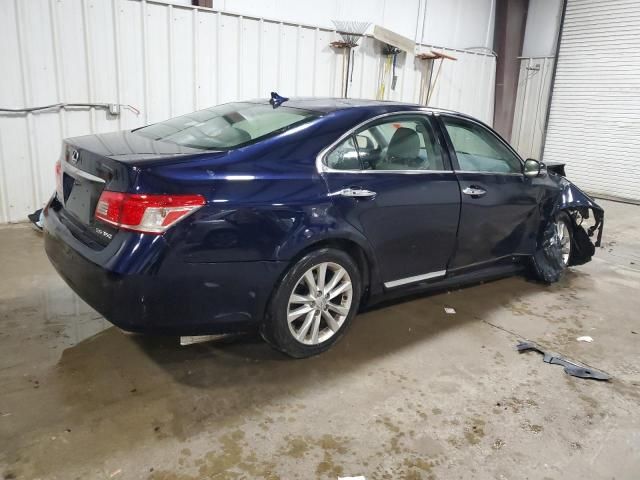 2010 Lexus ES 350