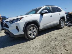 Salvage cars for sale from Copart Antelope, CA: 2021 Toyota Rav4 XLE