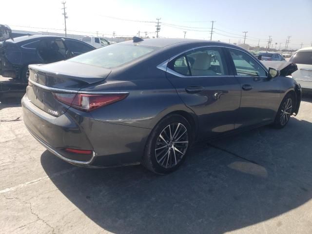 2024 Lexus ES 300H Base