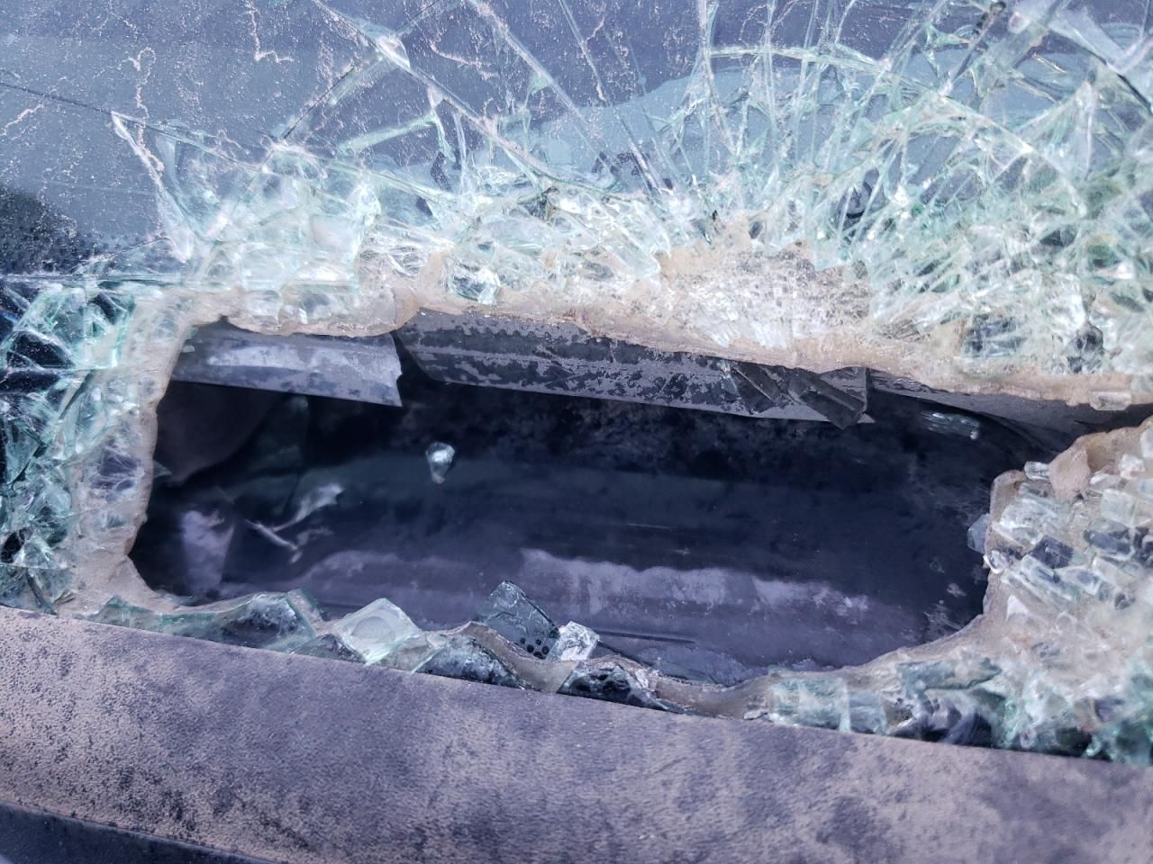 2019 Ford F150 Rapto