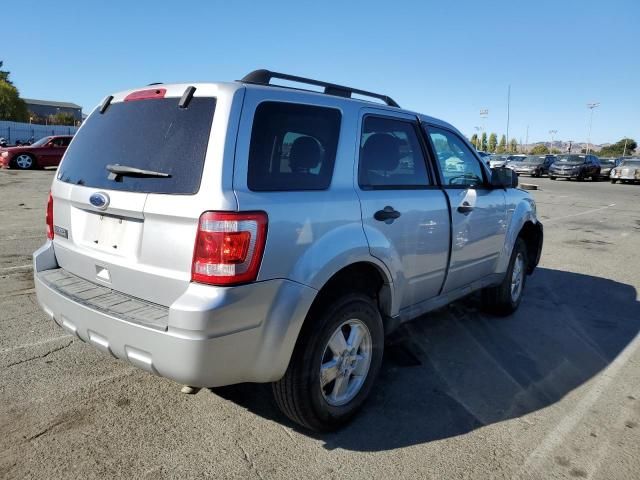 2010 Ford Escape XLT