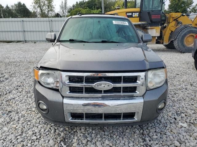 2010 Ford Escape Limited