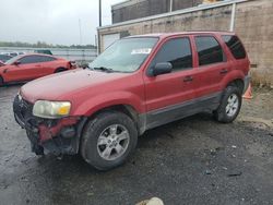 Ford Escape salvage cars for sale: 2005 Ford Escape XLT