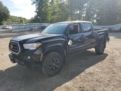 Toyota salvage cars for sale: 2021 Toyota Tacoma Double Cab