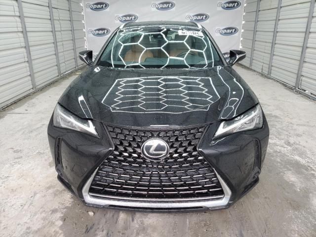 2021 Lexus UX 200