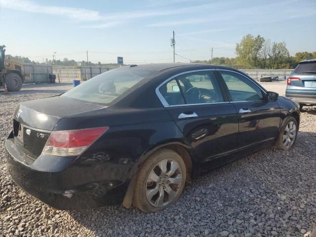 2008 Honda Accord EXL