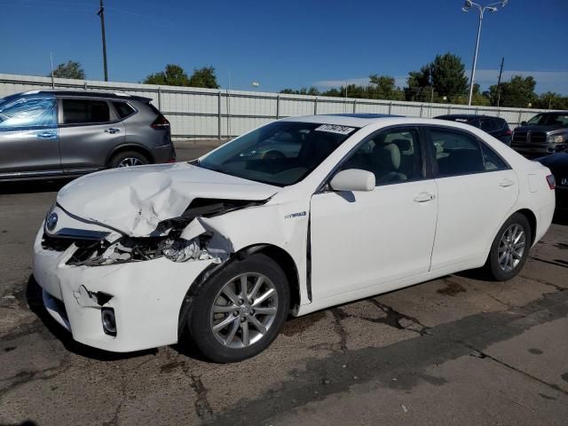 2010 Toyota Camry Hybrid