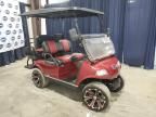 2024 Golf Cart