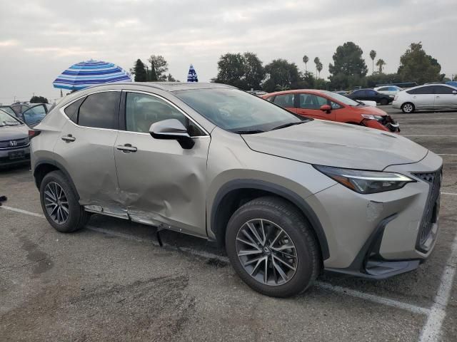 2024 Lexus NX 350 Base