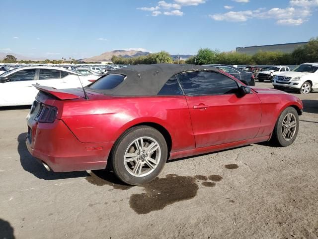 2013 Ford Mustang