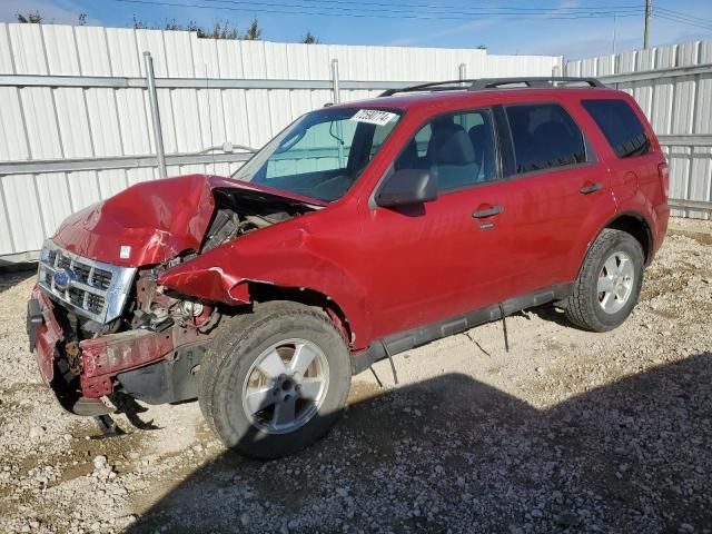 2011 Ford Escape XLT