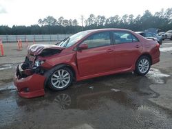 Toyota Corolla salvage cars for sale: 2010 Toyota Corolla Base