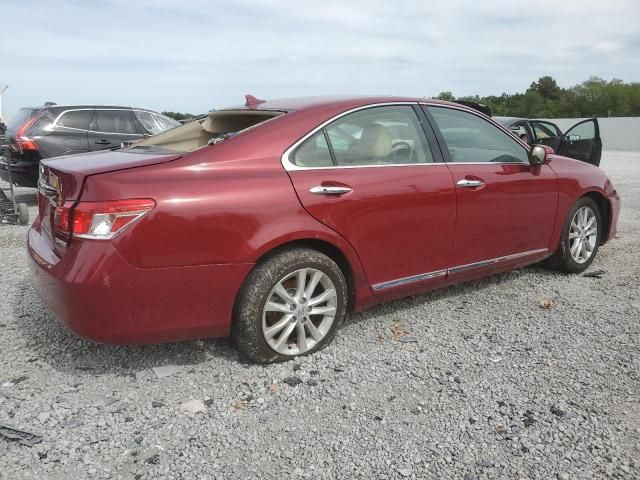 2010 Lexus ES 350