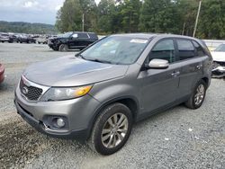 KIA Sorento salvage cars for sale: 2011 KIA Sorento EX