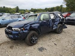 Toyota 4runner salvage cars for sale: 2024 Toyota 4runner SR5/SR5 Premium