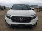 2023 Honda Passport EXL