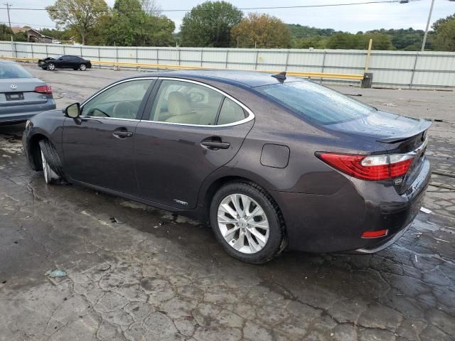 2013 Lexus ES 300H