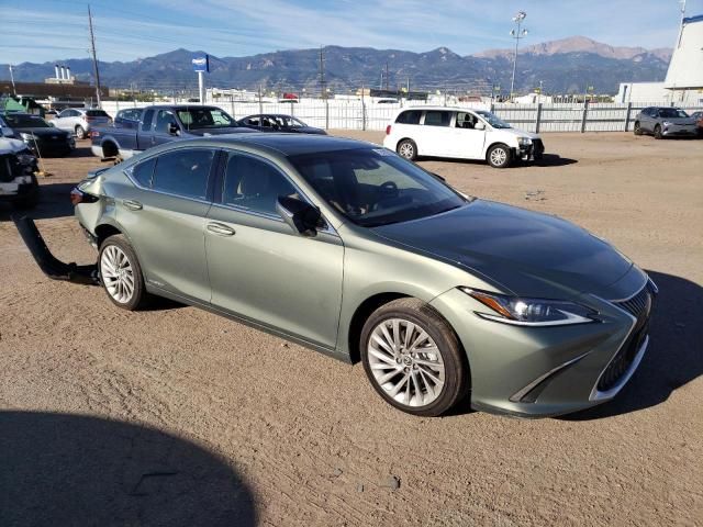 2021 Lexus ES 300H Luxury