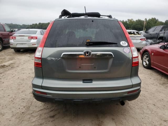 2010 Honda CR-V EXL