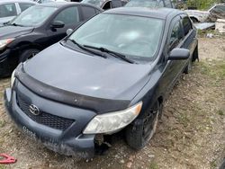 Toyota Corolla salvage cars for sale: 2009 Toyota Corolla Base