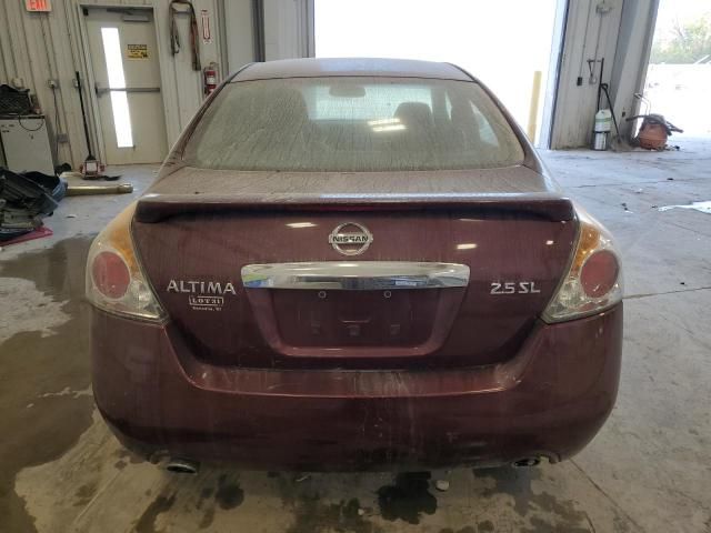 2010 Nissan Altima Base