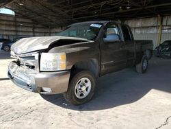 Salvage trucks for sale at Phoenix, AZ auction: 2008 Chevrolet Silverado C1500