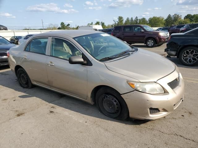 2010 Toyota Corolla Base