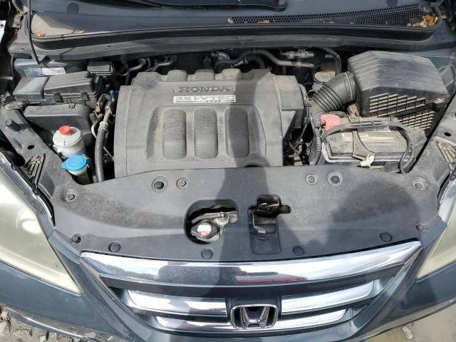 2005 Honda Odyssey EXL