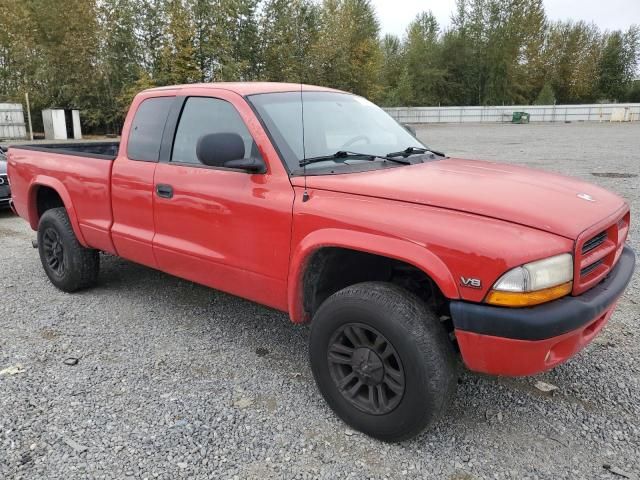 2000 Dodge Dakota