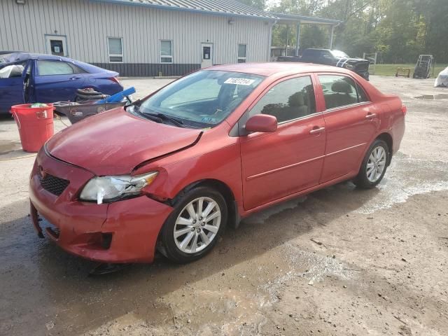 2010 Toyota Corolla Base