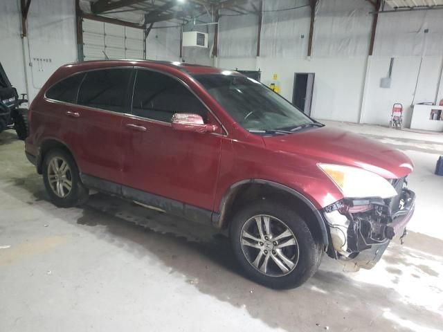 2010 Honda CR-V EXL