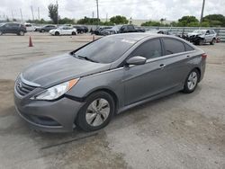 Hyundai salvage cars for sale: 2014 Hyundai Sonata GLS