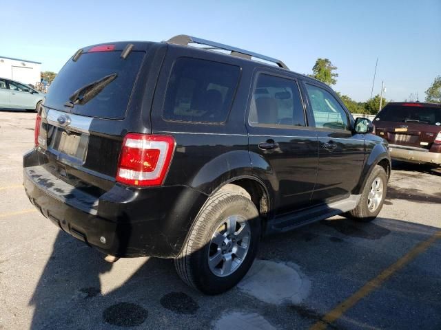 2011 Ford Escape Limited