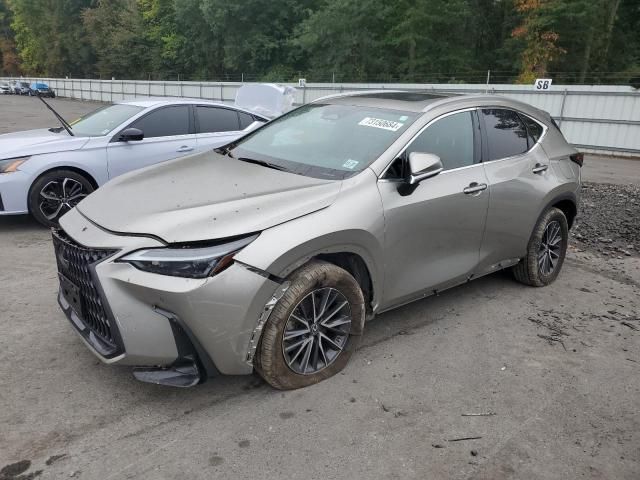 2023 Lexus NX 350