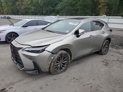 Salvage cars for sale from Copart Glassboro, NJ: 2023 Lexus NX 350