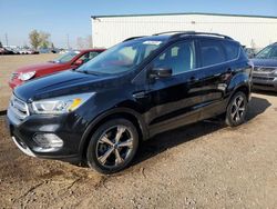 Ford Escape salvage cars for sale: 2017 Ford Escape SE