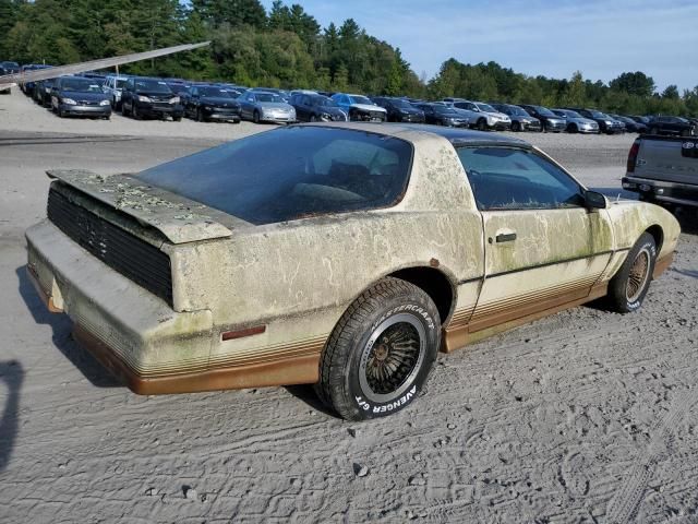 1984 Pontiac Firebird Trans AM