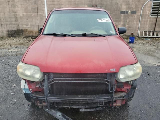 2005 Ford Escape XLT