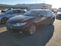 2014 Lexus ES 300H for sale in Martinez, CA