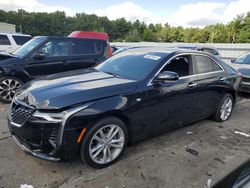 Cadillac ct4 salvage cars for sale: 2023 Cadillac CT4 Luxury