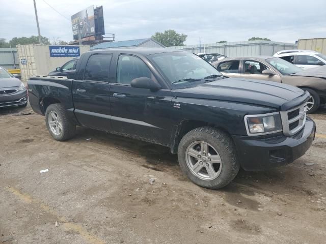 2010 Dodge Dakota SXT