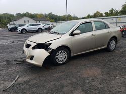 Toyota Corolla salvage cars for sale: 2009 Toyota Corolla Base